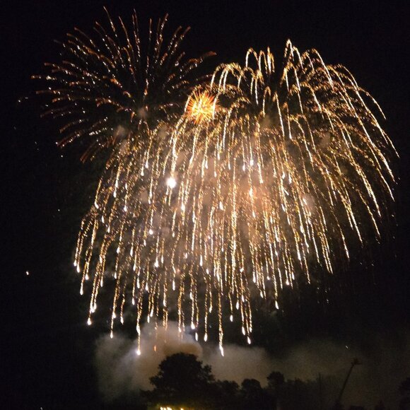 Meet your Posher, Alisha - Picture 1 of 1